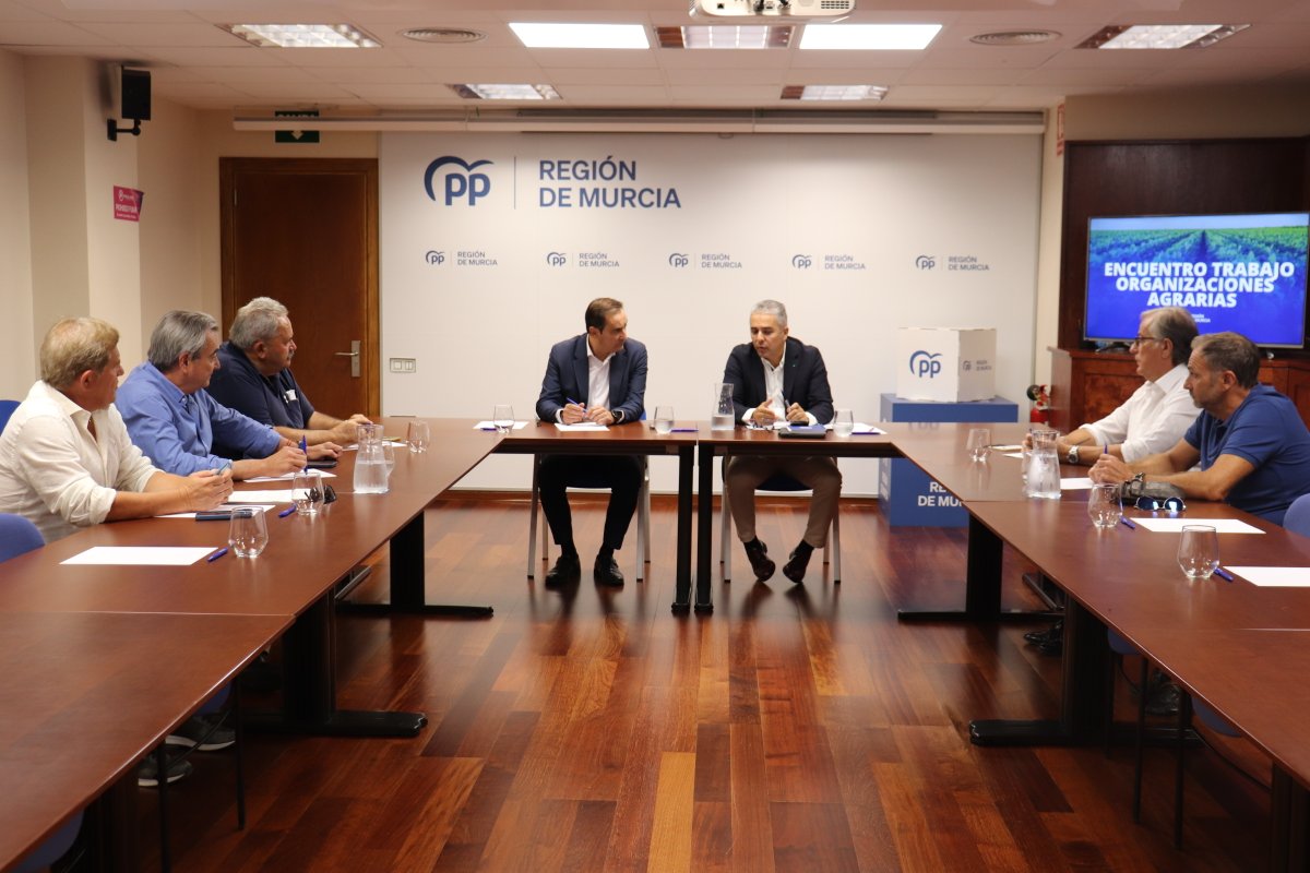 💪Unimos fuerzas con los agricultores para exigir al Gobierno de España responder con firmeza a los aranceles de Trump

☑ Lideramos una ofensiva también contra los recortes a la PAC, y para pedir el reconocimiento mutuo en productos fitosanitarios

🔗ppregiondemurcia.es/noticia?id=2791