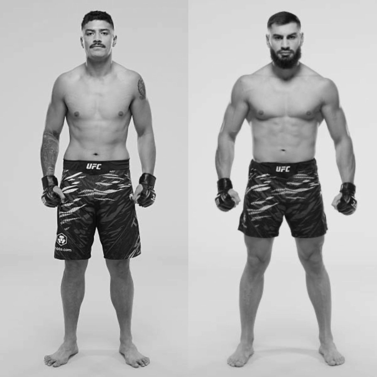 MMA Orbit tweet media