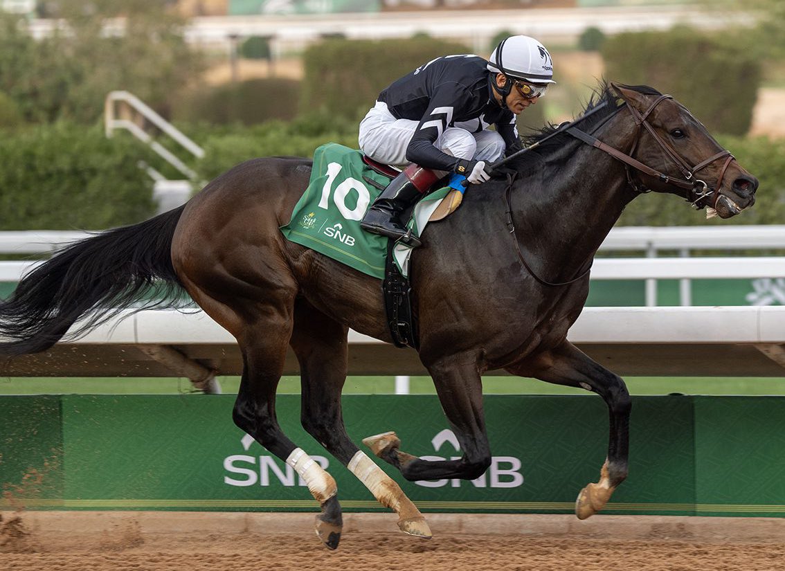 The Saudi Cup (@thesaudicup) on Twitter photo 📰 Riyadh Dirt Sprint presented by Saudi National Bank champ STRAIGHT NO CHASER is gearing up for his return to the races in a defense of the Santa Anita Sprint Championship (Sept. 28) <a href="/santaanitapark/">Santa Anita Park</a>. Best of luck to <a href="/MyRacehorse/">MyRacehorse</a> & <a href="/dan_blacker/">Dan Blacker Racing</a>. 📰 Riyadh Dirt Sprint presented by Saudi National Bank champ STRAIGHT NO CHASER is gearing up for his return to the races in a defense of the Santa Anita Sprint Championship (Sept. 28) <a href="/santaanitapark/">Santa Anita Park</a>. Best of luck to <a href="/MyRacehorse/">MyRacehorse</a> & <a href="/dan_blacker/">Dan Blacker Racing</a>.