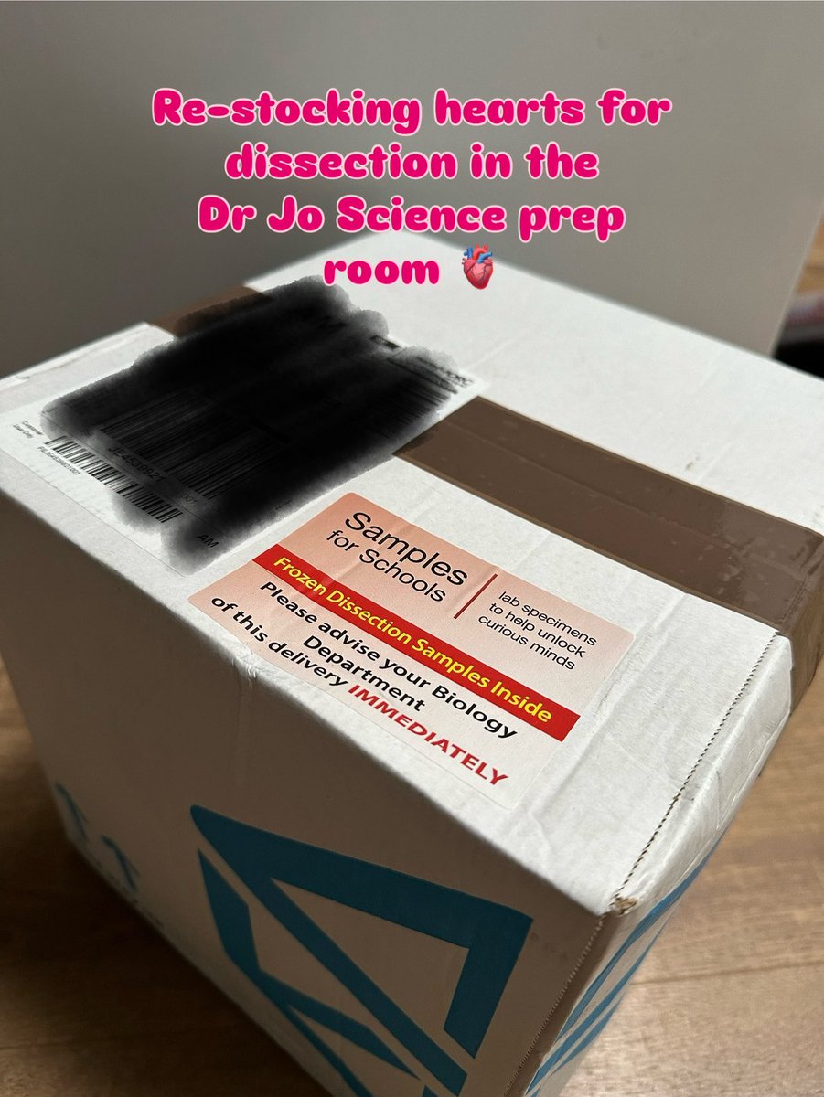 DrJoScience's tweet image. Exciting delivery for the #DrJoScience #PrepRoom today - re-stocking hearts for dissection workshops next week 🫀👍
#CirculatorySystem #PrimaryScience #HandsOnScience #ScienceIsEverywhere #BeCurious