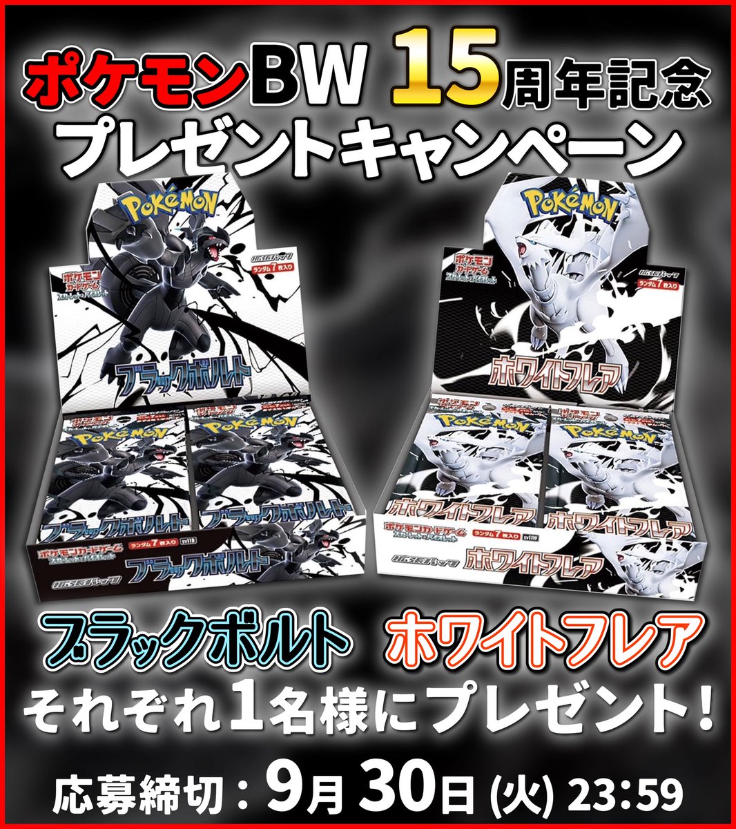 ポケットモンスター　ホワイト　学園祭 学園祭に参加してポケモンをもらおう。「ポケットモンスター