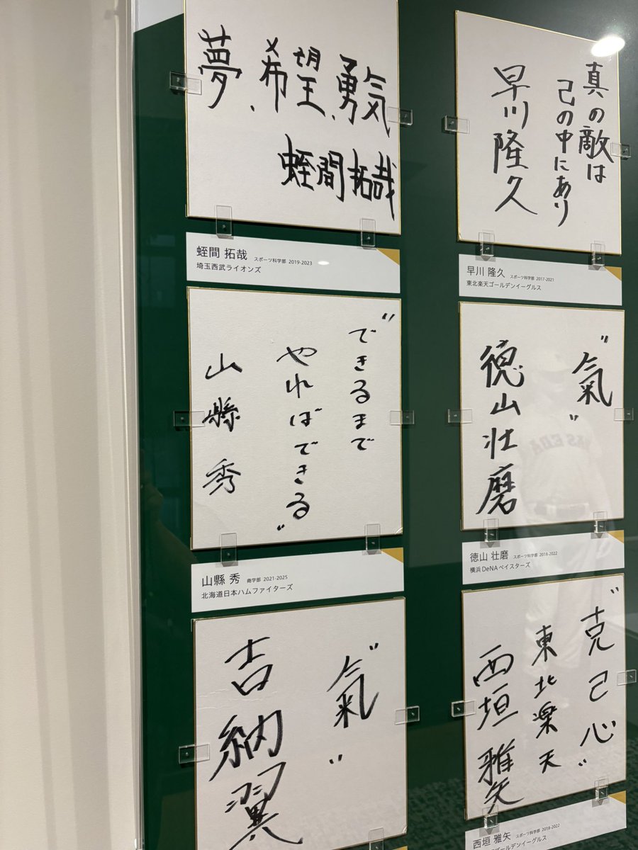 早稲田文化【早稲田大学公式】 tweet media