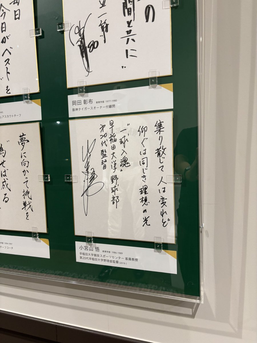 早稲田文化【早稲田大学公式】 tweet media