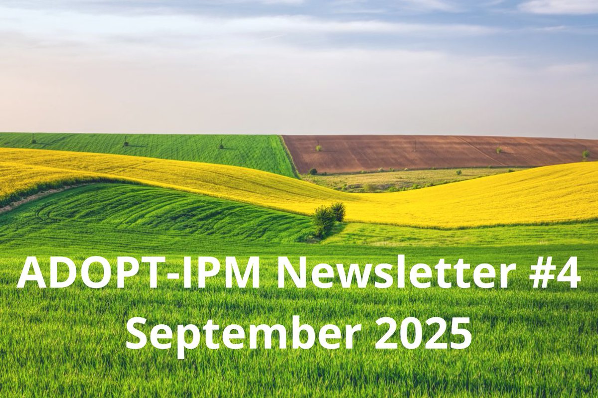 📣 ADOPT-IPM's fourth #newsletter has been published! 

👉 Read it for a full #update on the project's progress. You will find it on the project website: adopt-ipm.eu/read-the-adopt…

✨ Enjoy the reading!

#IPM #HorizonEurope #SustainableAgriculture