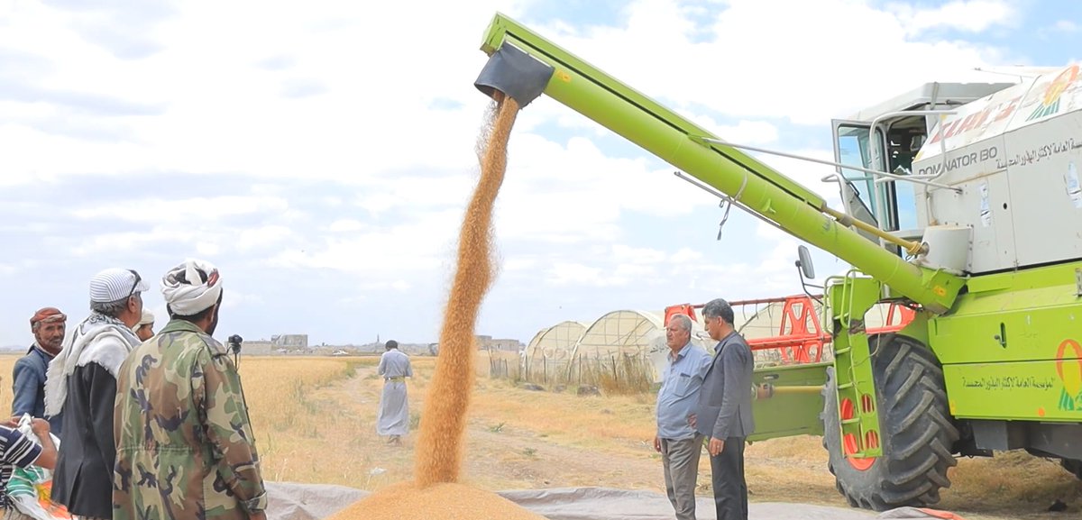 Yemen's agrarian revolution - in pictures.
