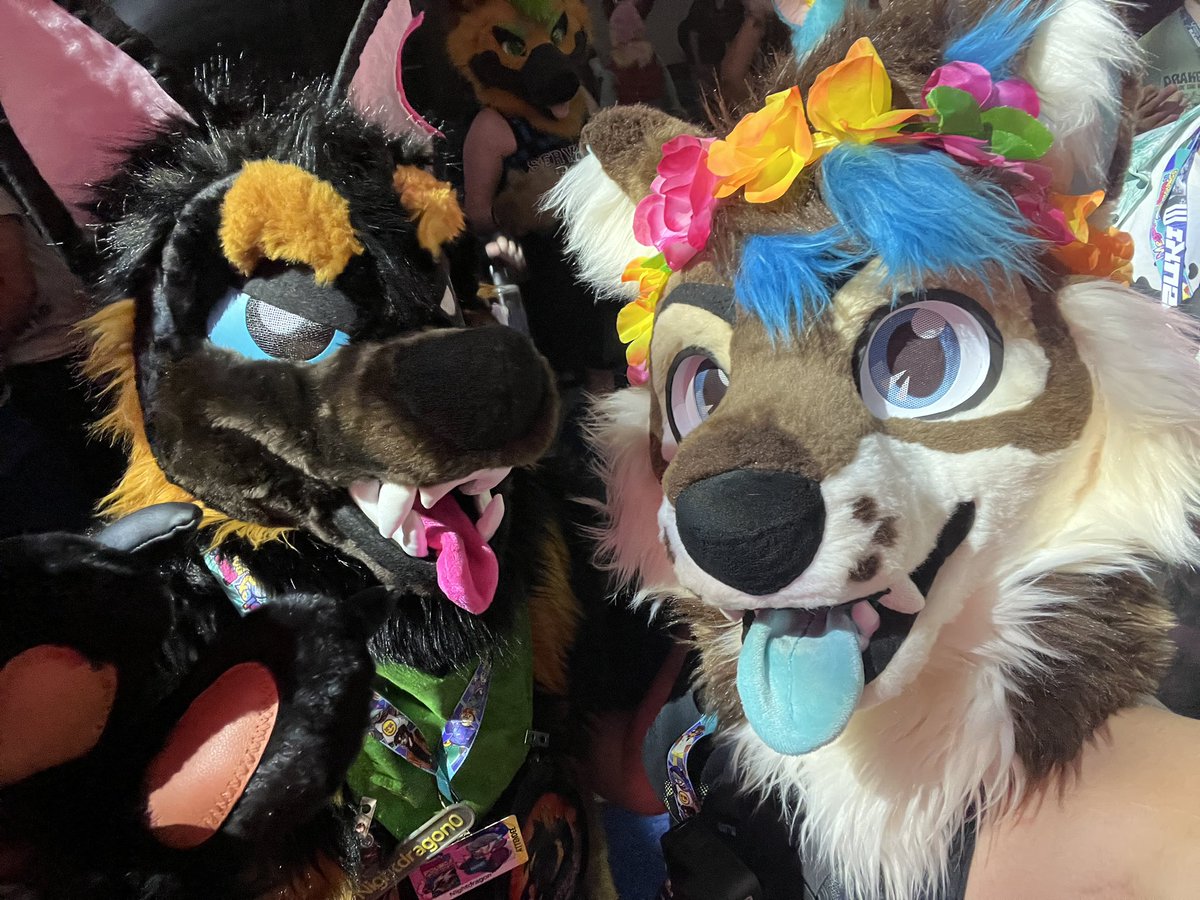 Headed to AFC on Friday and hanging for day or two! 

Don’t be a stranger come say Haii!!! 

Also DJing Saturday at the Outdoor Pavillion 8PM. Hope to catch you all there 💙