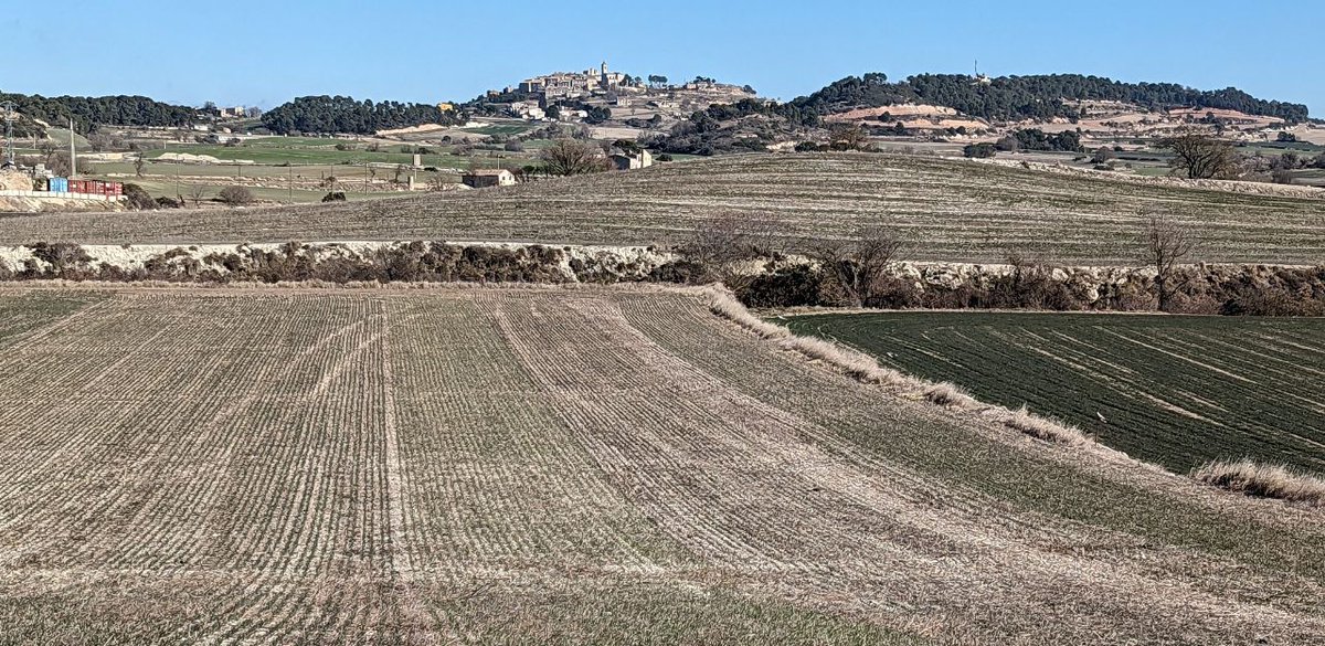 🌾 El Grup Operatiu Farina de Mestral impulsa la producció local de blat panificable al Camp de Tarragona.

El projecte pilot innovador “Farina de Mestral” vol crear una cadena curta de producció de blat panificable, des del camp fins a l’obrador.

ow.ly/F8a950WXVuv