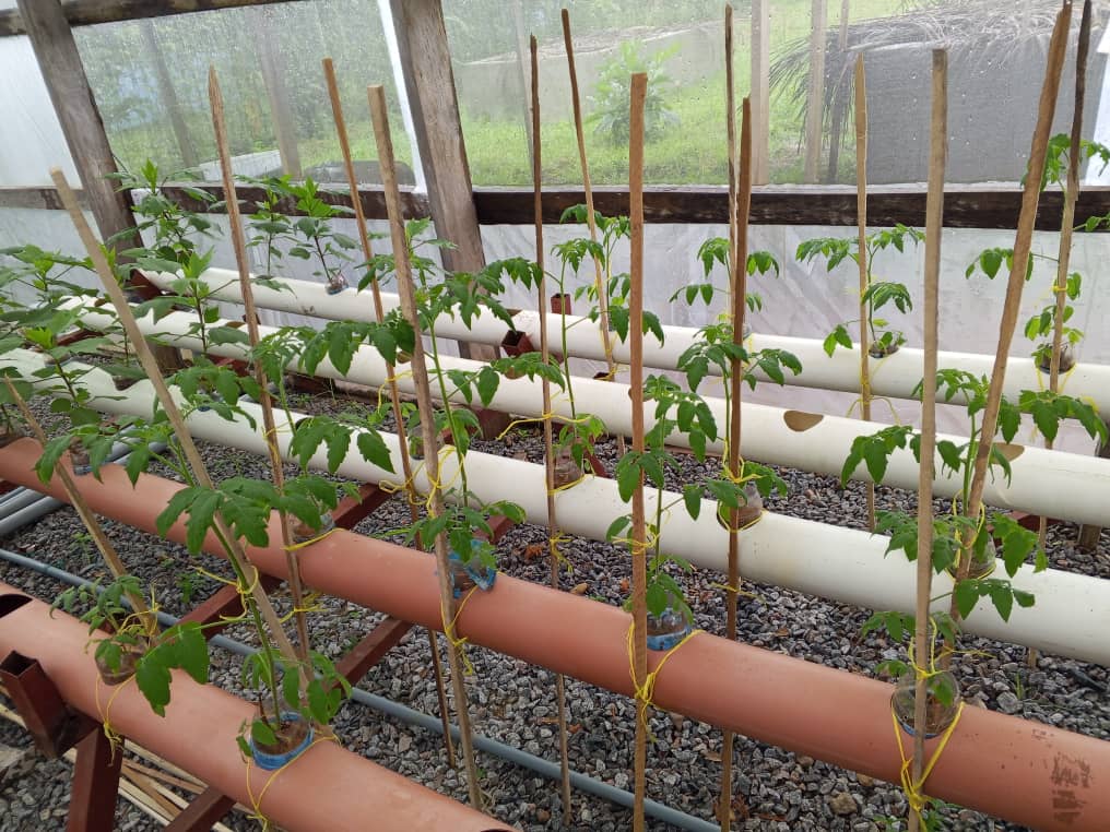 INCiTiSFOOD's tweet photo. 🌱 From harvesting the fruits of their work to advancing gender balance and fostering collaboration, our Living Labs are driving meaningful change across Africa.

Don’t miss out on their progress and updates 🔗https://t.co/XdBbTP8OVF

#FOOD2030EU #HorizonEurope #ResearchImpactEU https://t.co/sfDCLlYbMZ