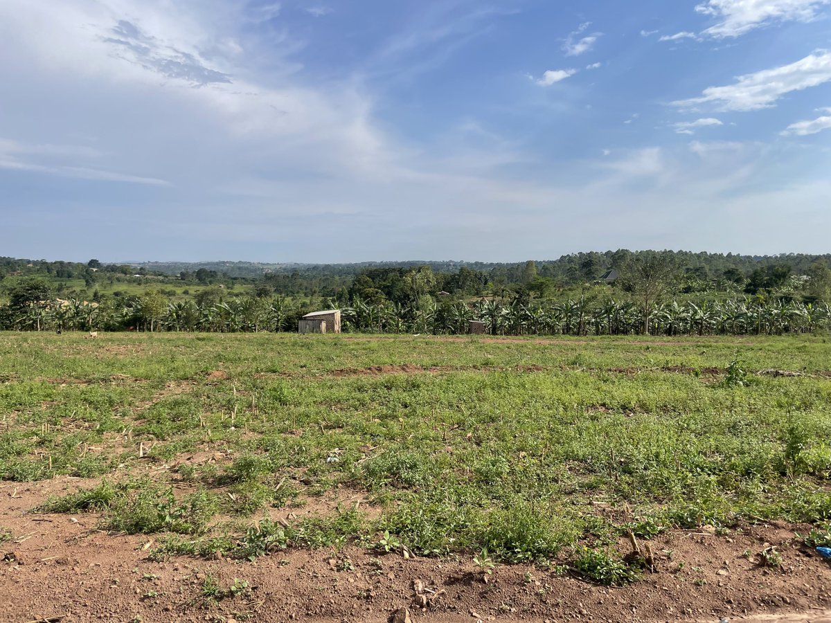 bruno_akampa's tweet image. 50x100ft. Titled!

Nabusugwe - 65M
Kijabijo - 35M
Nakasajja - 28M

After Nakasajja all the way to Kalaji is mainly “Kabaka land.”

Kasayi - 25M (growing rapidly)

@Absolproperties 
📞 0704408763