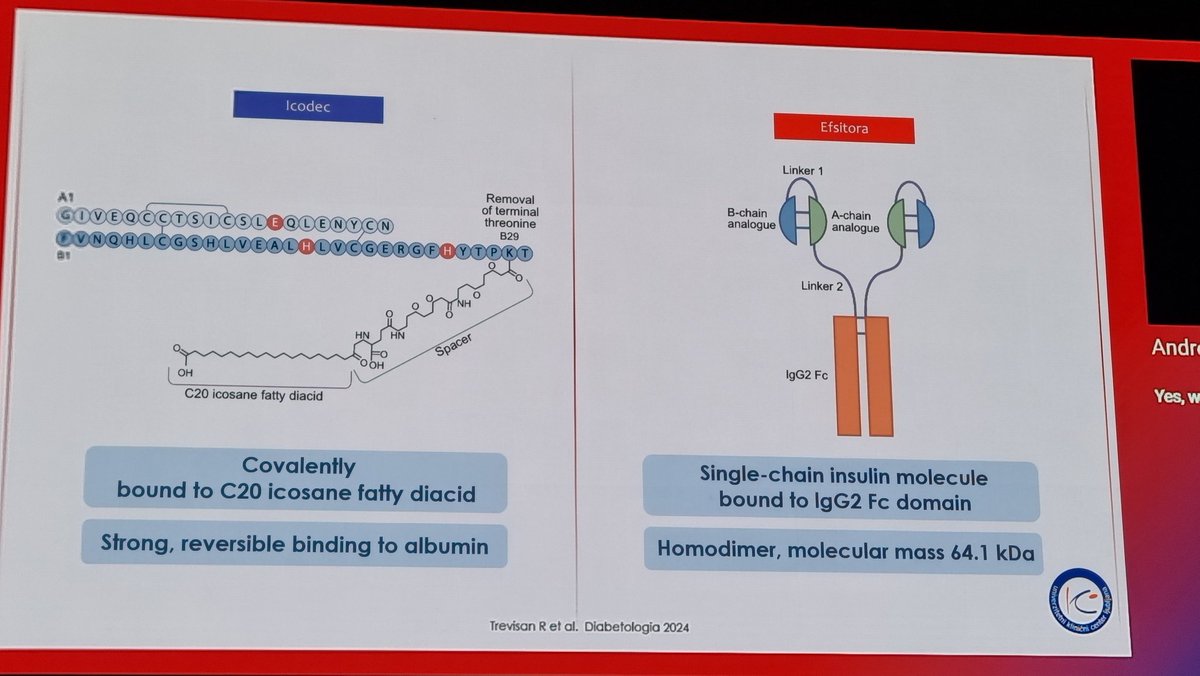 noeliafbrufal's tweet image. Dr Andrej Janez en #EASD2025 "Yes, we need New inyectable insulin" 
#icodec
#diabetes