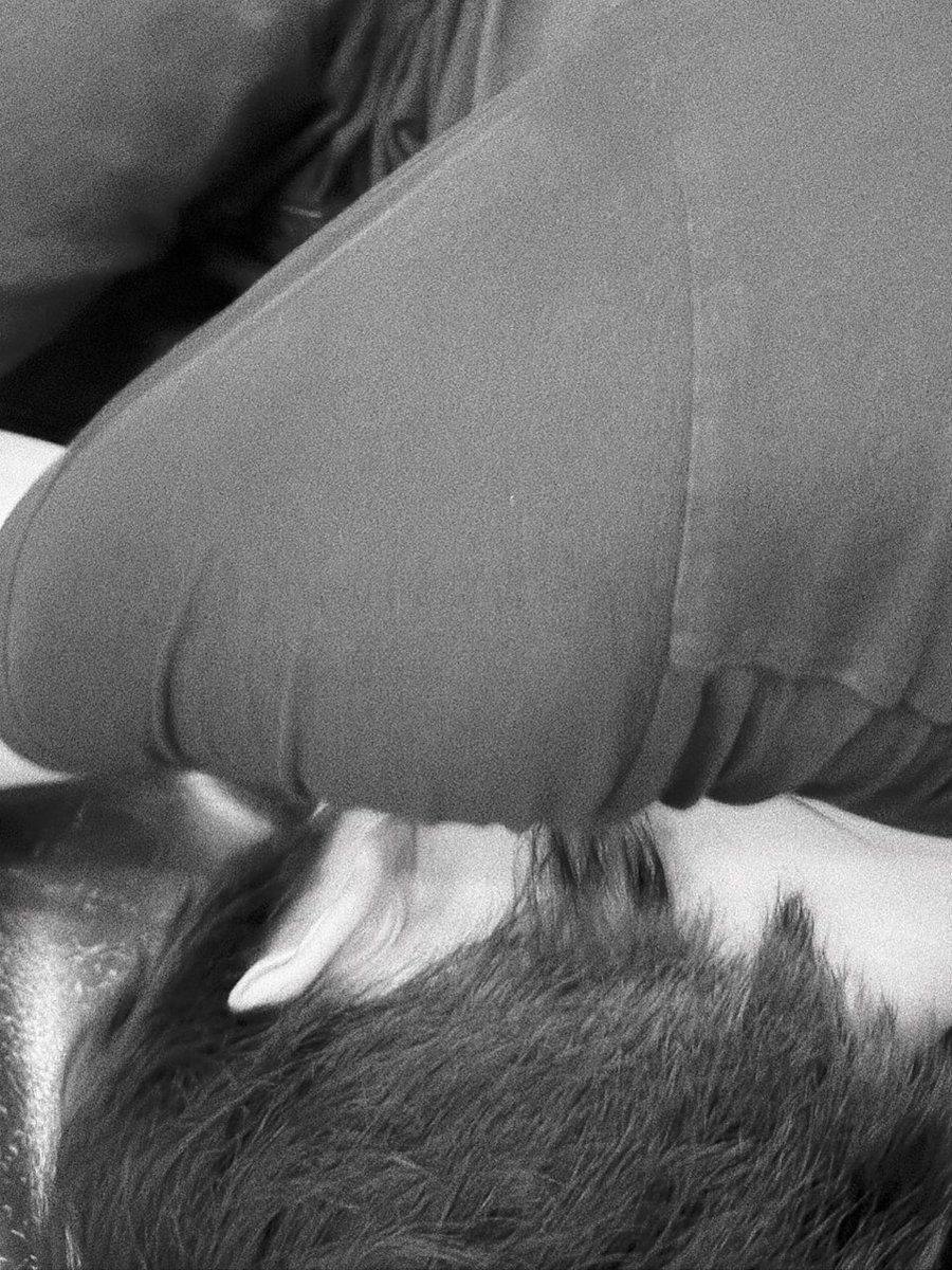 아 진짜 개처웃겨서 말이안나옴