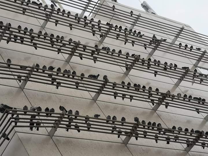 Мы живём в мире фантазий и иллюзий. Наша задача состоит в том, чтобы найти реальность

Айрис Мердок