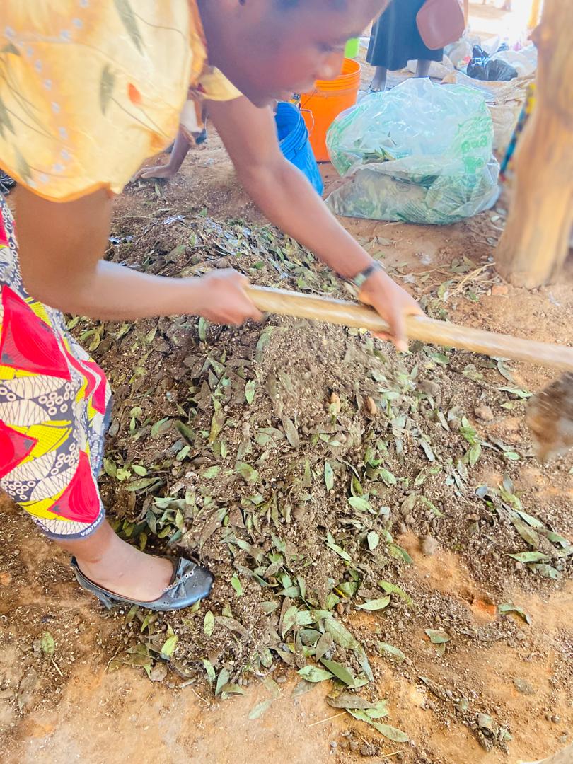 Making manure is a skill that goes beyond the farm. It's a valuable economic opportunity that can generate income. By turning waste into nutrient-rich fertilizer, you're not just growing crops, you're growing a sustainable business. Learn that skill today!
#girlsonthelead
