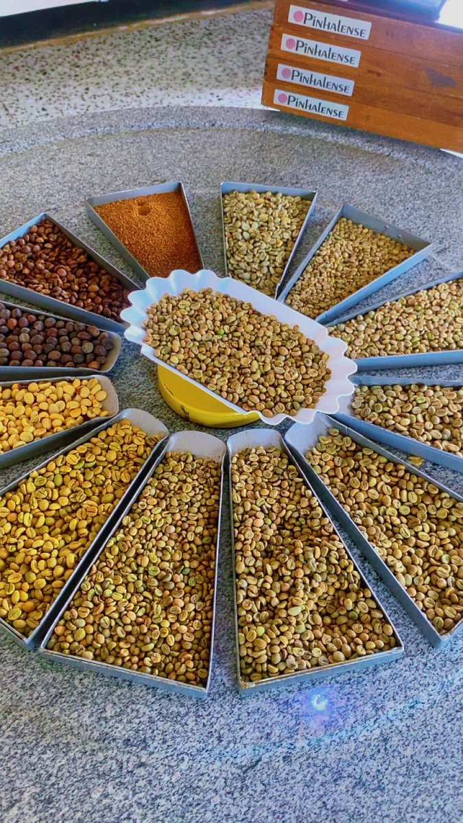 “Sectrine, people always ask me  how do you grade coffee? 
What’s the use of those machines? 
And does it really bring more money?” 

Let me explain it clearly because grading is one of the biggest secrets to adding value to our coffee 

Let me start with the steps involved in