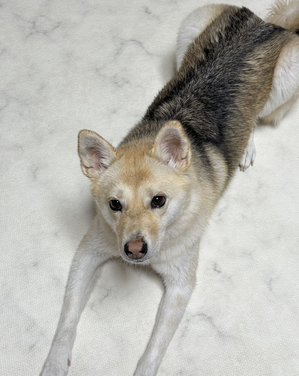 베리 빨았어요☺️