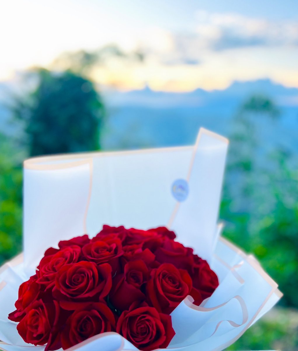 amo las floress