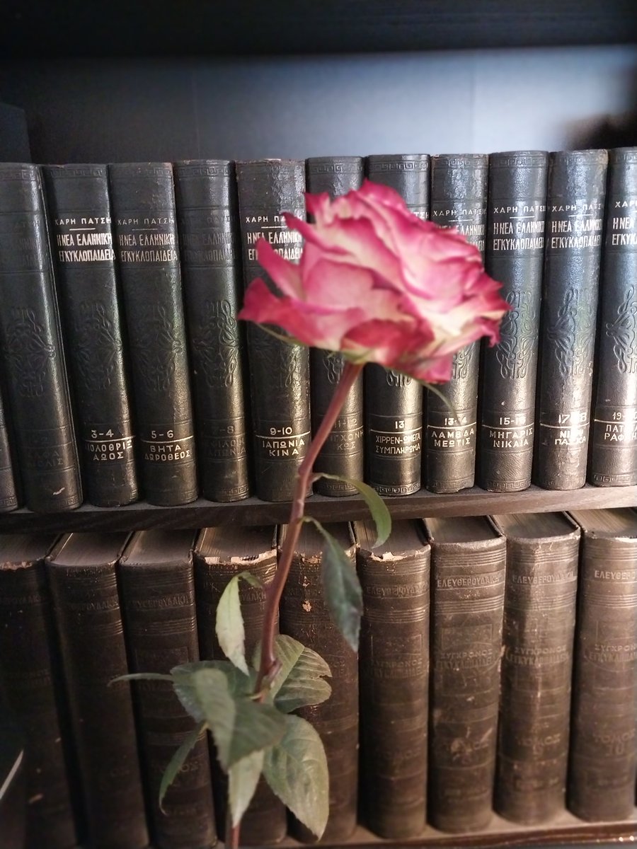 IoannidouMason's tweet image. A very blessed morning to everyone! 🙏❤️🙋‍♀️ #BeautifulMorning #HappyTeaching