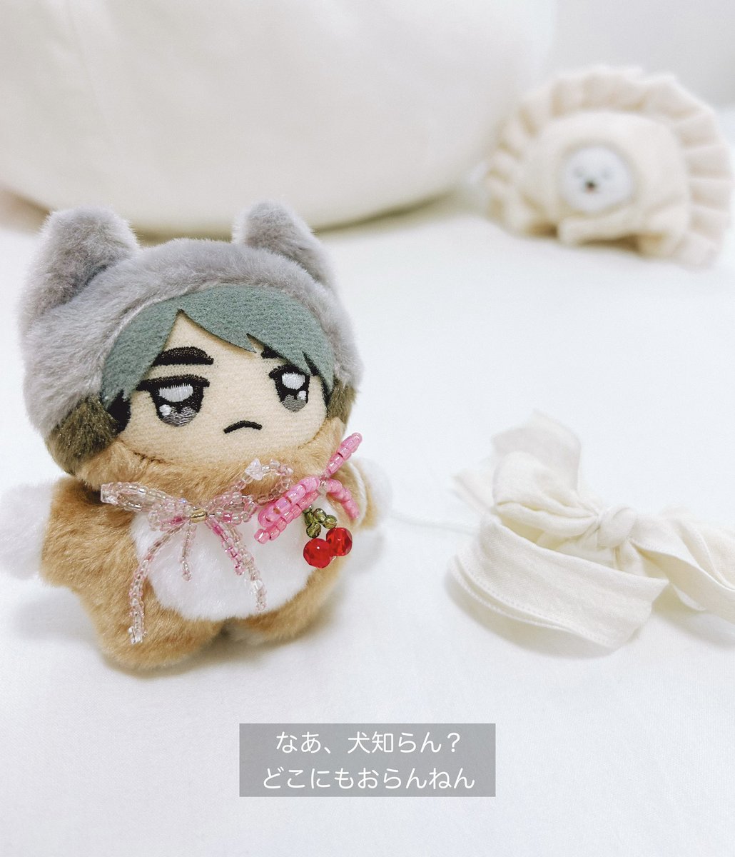 お散歩いきたいちみvs今日は行きたくない犬
#うちのちみけも