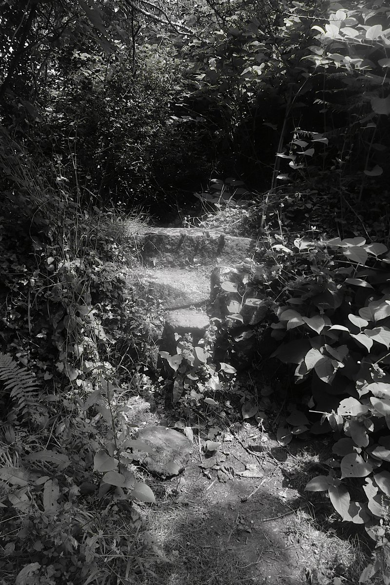 puddleswellies's tweet photo. @LakesStiles @LordOrk @tismenic70 @Soapy_Wit_Tank @ceadela @CharlesBewley2 @RuthRendell1 @Yeti98_ @tutty352 @LansdellMum Ethereal stone monochrome, Colenso Cross #WalkingInCornwall #superstilin #Kernow #hiking #Goldsithney https://t.co/8nkQDEPENe
