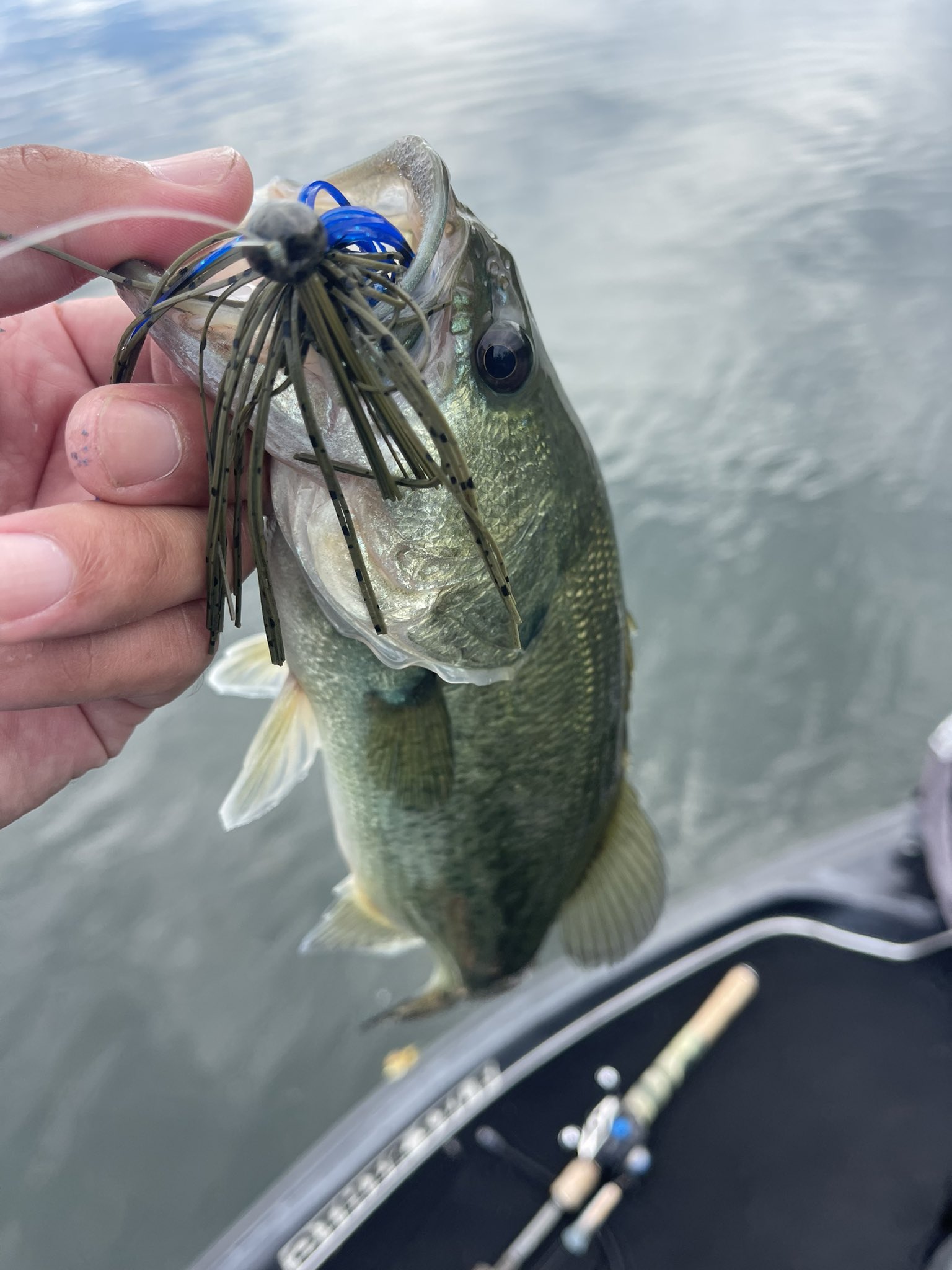 堀住 BRIEFING BRG201D02 ウッドランドカモ 堀住 BRIEFING