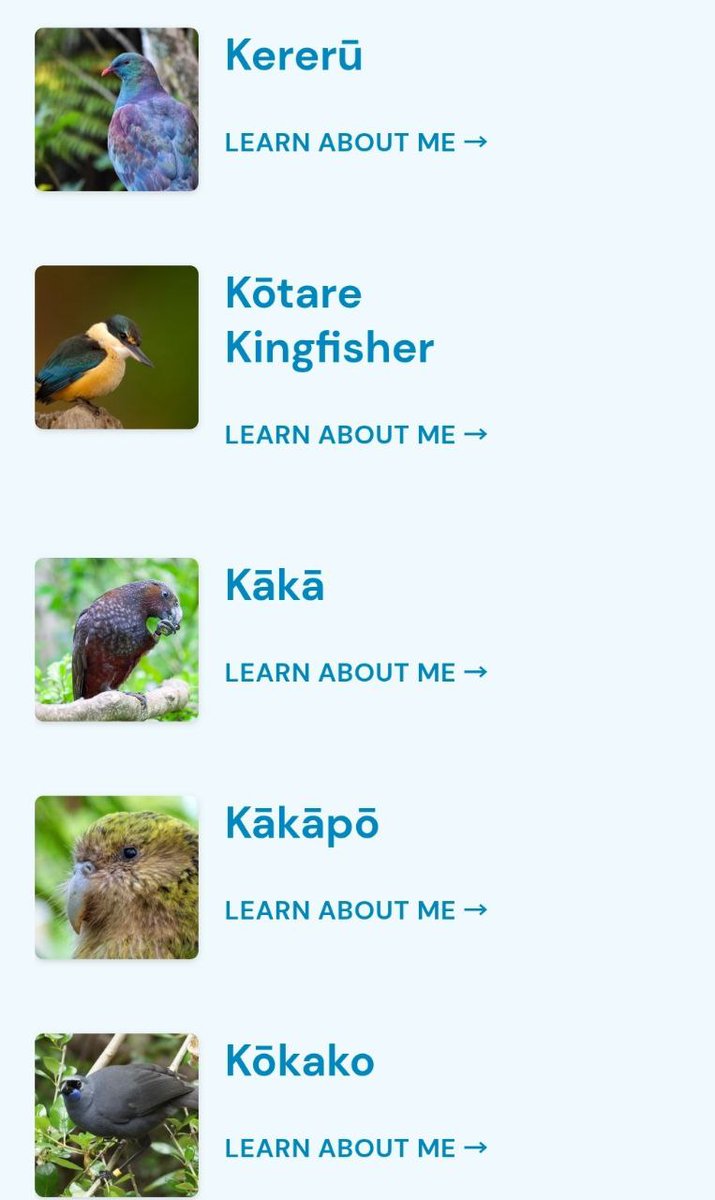 А у нас двадцатое юбилейное голосование на птичку года, потому что... а почему бы и нет.
(название видов такие, как будто со слов самих птичек записали)