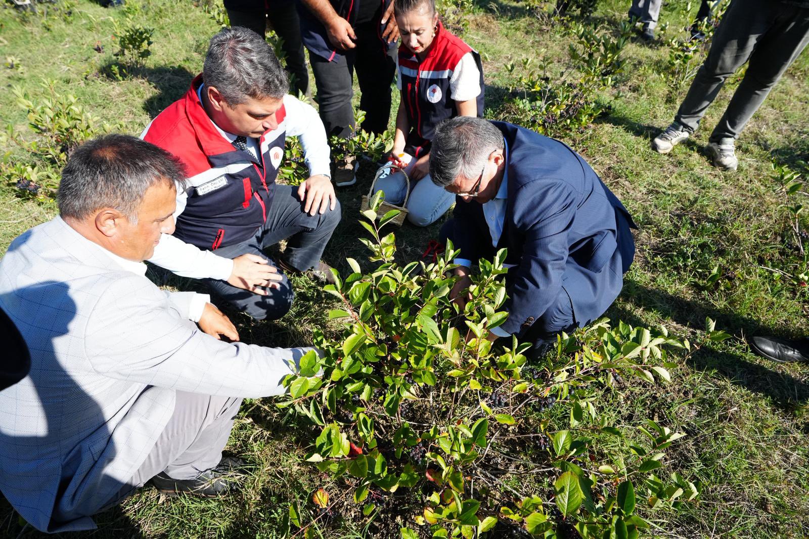 G1HHWVkWkAEb8bR?format=jpg&name=large