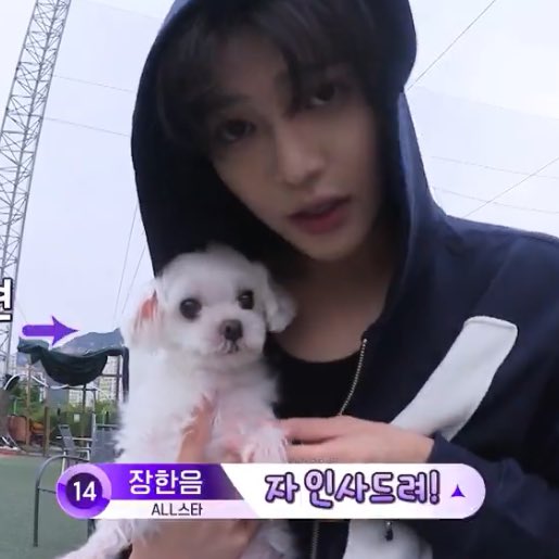 thankyouhaneum tweet picture