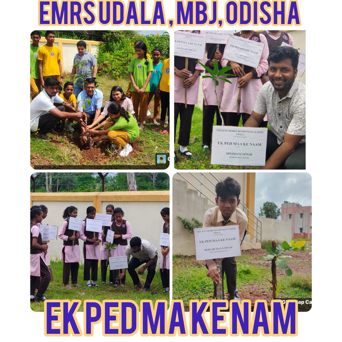 47 EMRS Odisha plants trees for #EkPedMaaKeNaam to honor mothers 🌱. Together, students and teachers are making our planet greener! 🌍 

#Sustainability #VanMahotsav2025 #EcoWarriors <a href="/NESTSHQ/">National Education Society for Tribal Students</a> 
<a href="/CMO_Odisha/">CMO Odisha</a> <a href="/moefcc/">MoEF&CC</a> <a href="/ekpedmaakenaam/">EK PED MAA KE NAAM</a> <a href="/scstdevdept/">ST & SC Development Department</a>