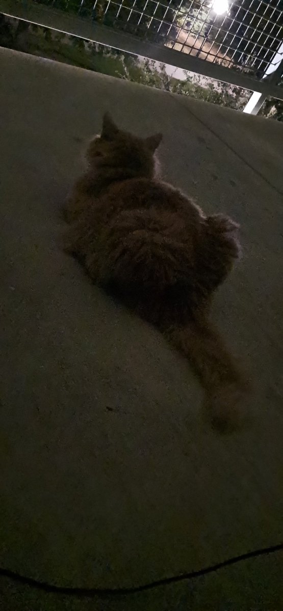 RobCosta1215's tweet photo. Wonder what she was thinking from a 3rd floor balcony outside of Houston. Because idk what I'm thinking sometimes 🤔 🙃 😅 https://t.co/EQE51qu4zM
