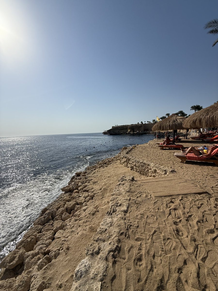 BPolyakov's tweet image. 