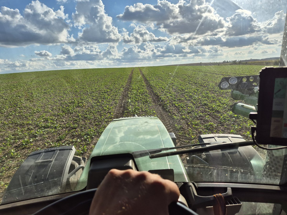 Rzepak – złoto z pola 🌼

Z jednej rośliny tyle pożytku!
👉 Olej na patelnię i do sałatki,
👉 Biodiesel do baku,
👉 Pasza dla zwierząt,
👉 Kosmetyki i smary,
👉 A do tego pszczoły dają pyszny miód rzepakowy 🍯🐝.