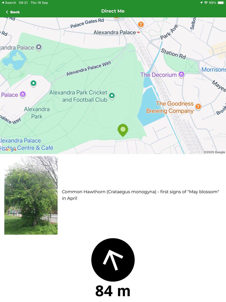 <a href="/FriendsAllyPark/">Alexandra Park</a> You’ll find the these trees easily on the #AlexandraPark #treetrail <a href="/stephenmid/">Stephen Middleton</a> <a href="/FriendsAllyPark/">Alexandra Park</a> 

See it here: ticl.me/alexandra-park…

and download the new Android App ‘TiCL” and IOS App ‘TiCL View’  for compass navigation, FREE with no ads and no registration