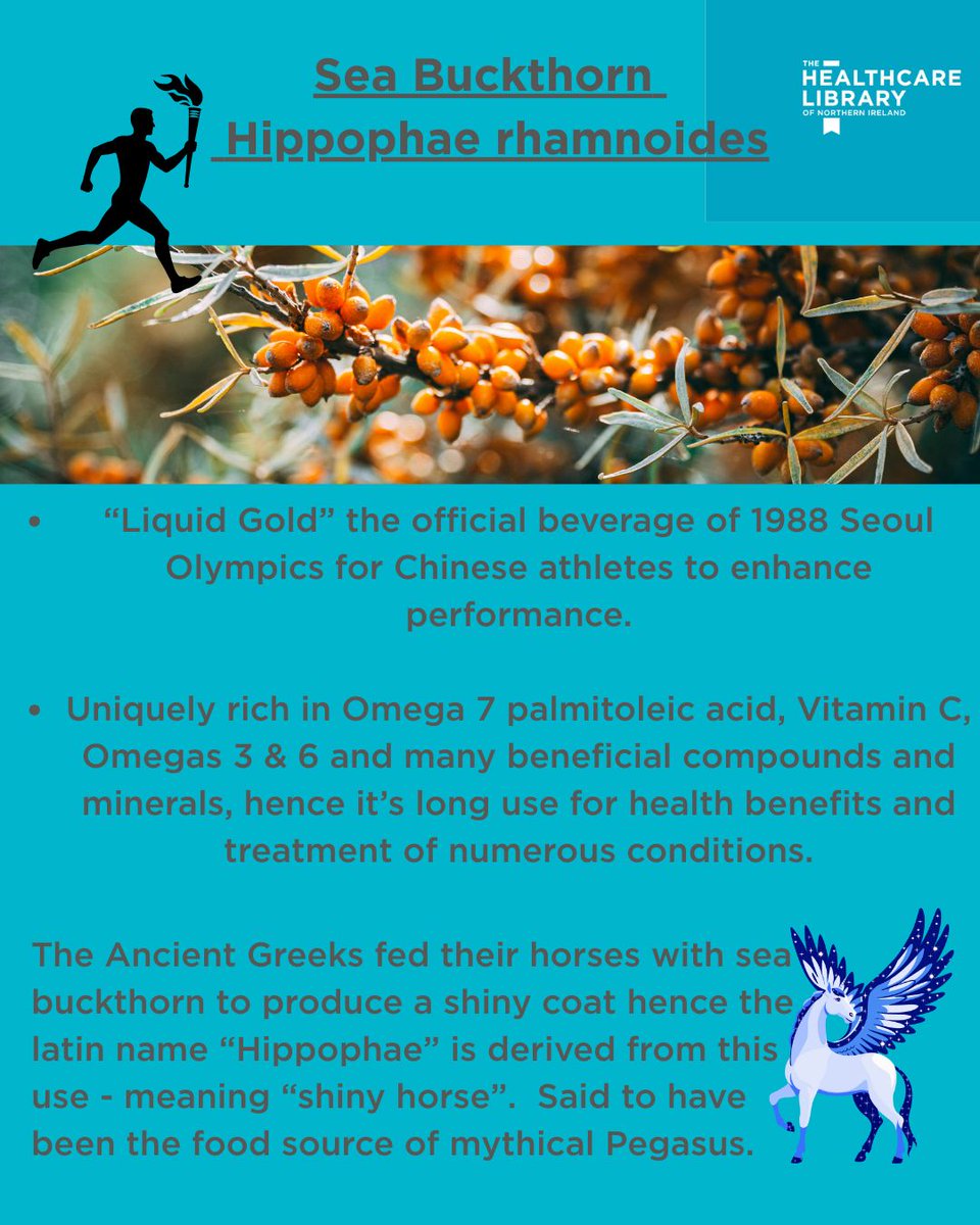 The Healthcare Library of Northern Ireland tweet media