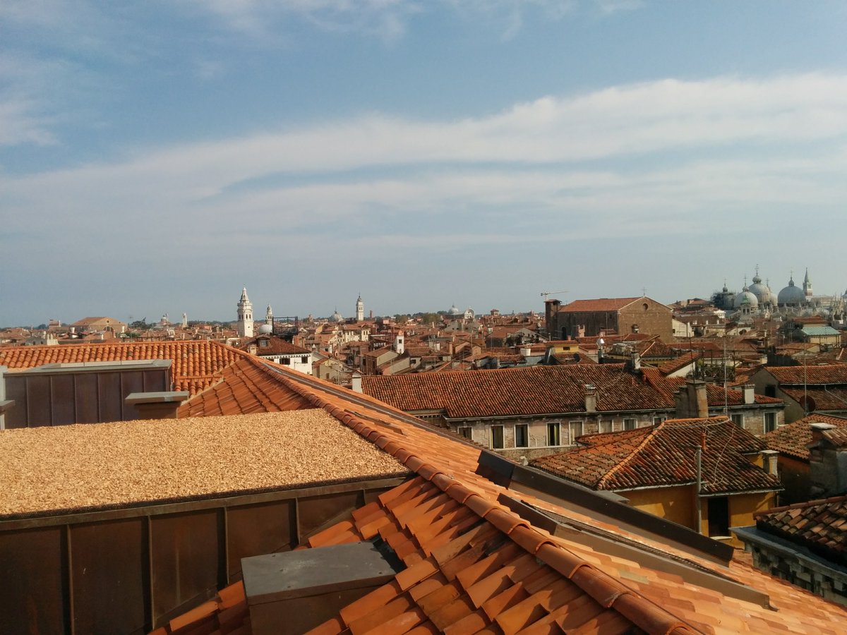 monicacesarato's tweet photo. "You've gotta blow the roof off of your heart and let the universe in."
- Lou Reed
Good morning #Venice!

#aphotoofveniceaday #askmeaboutvenice #veniceblogger #veniceblog #베니스  #venicephotos #venicecolors #venicecanals #veniceitaly #slowvenice #secretvenice https://t.co/vvI9lPWLWU