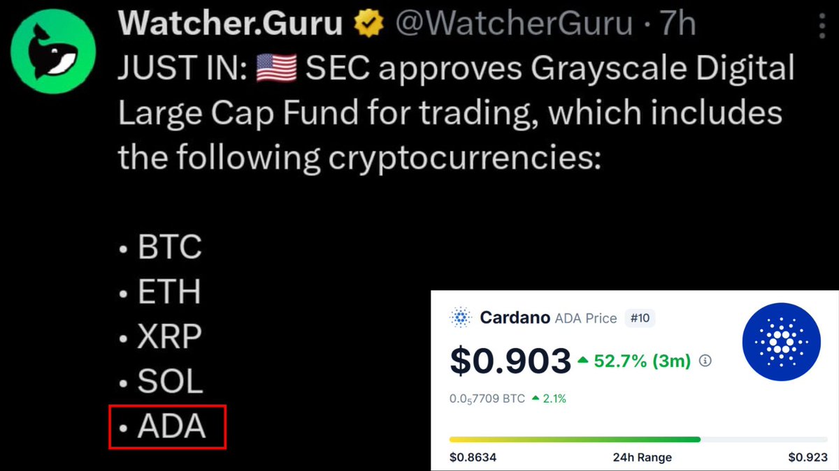 Gm, this makes my morning coffee taste 100% better! ☕😍🦋🍄
#Cardano $ADA