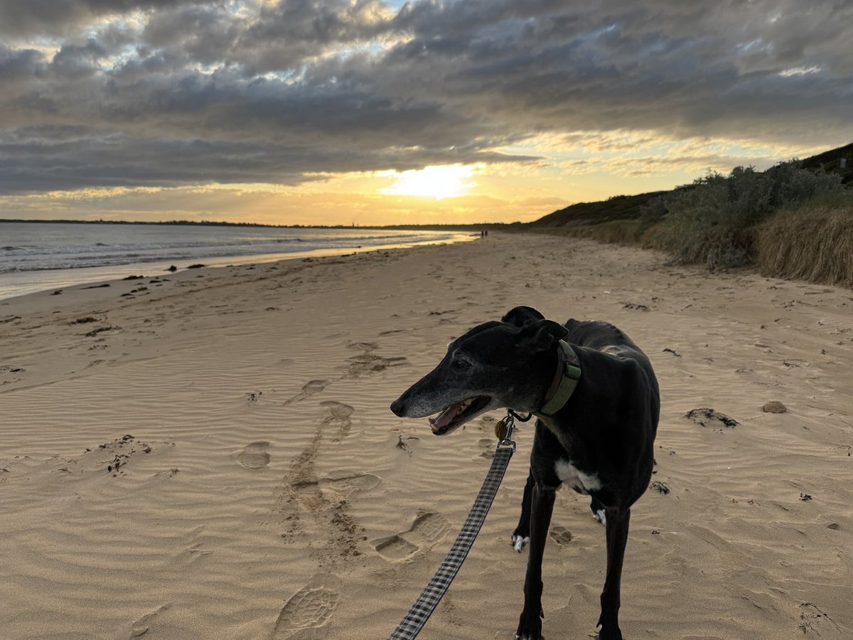 Refusing to look at the camera