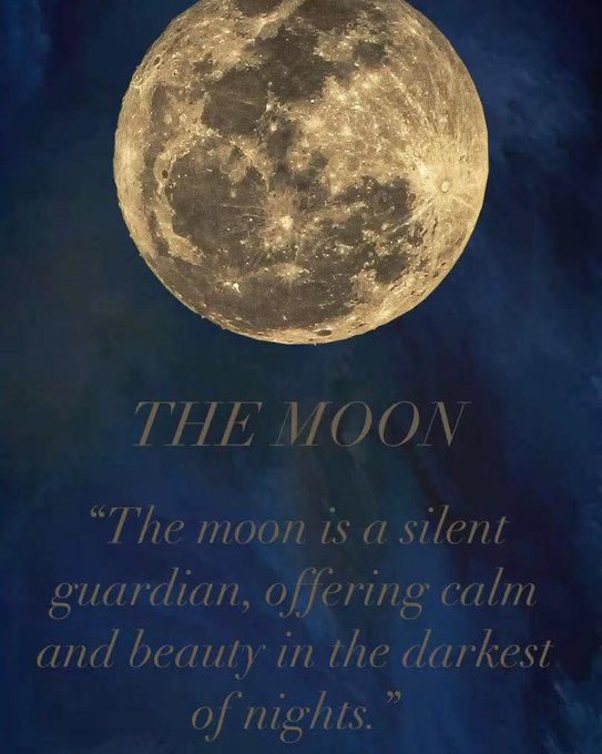 BLESSEDIMOLE's tweet image. 🌕