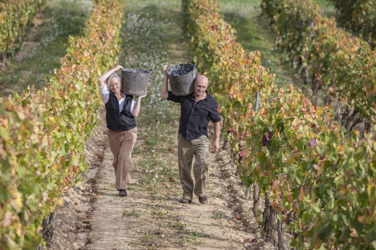 NosVinos's tweet photo. Pepe Viyuela protagoniza la nueva campaña audiovisual de la Ruta del Vino Rioja Alta https://t.co/zWOd28jDjH @RutaVinoRioja https://t.co/vIsUPg7Wfw