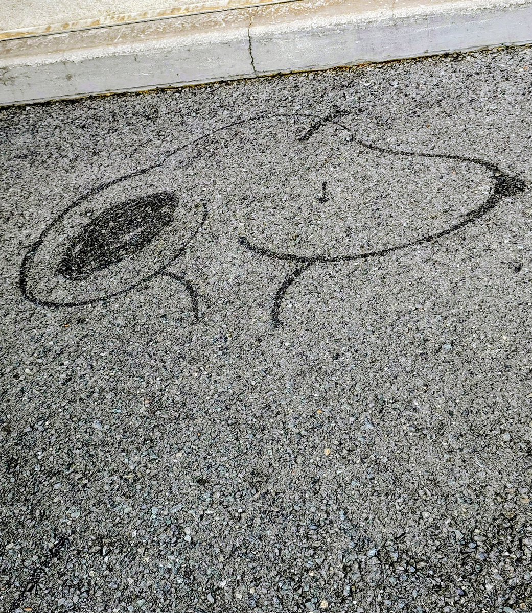 通りがかった時　おスヌさんが居てました🤍🖤
#USJファン