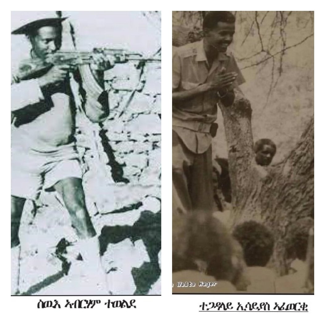#ንሕናን_ዕላማናን 🇪🇷✊🏽
ሓላፊ ክፍሊ ኣብርሃም ተወልደ ፖለቲካዊ ኮምሽነር ድማ ኢሳይያስ ኣፈወርቂ ኣብ ዝነበሩሉ ድማ ኣሃዱታት ሓምሸይቲ ክፍሊ ኣብ ከባቢ ሽዕብ ገድገድ ይንቀሳቐሳ ነይረን። 

ገብረህይወት ገብረማርያም (ወዲ ሕምብርቲ) ኣብ ሚያዝያ ናይ