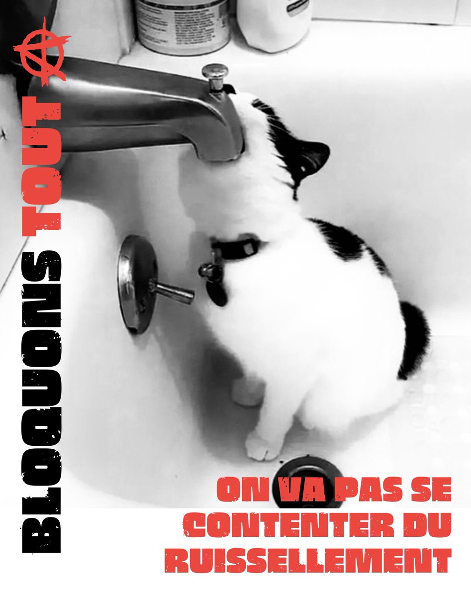 Bonjour les ami.e.s 
#BloquonsTout On va pas se contenter du ruissellement 😘✊🐈‍⬛🏴
#18septembre #10septembre