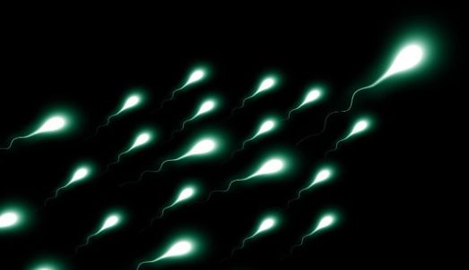 ParoleFertili tweet media