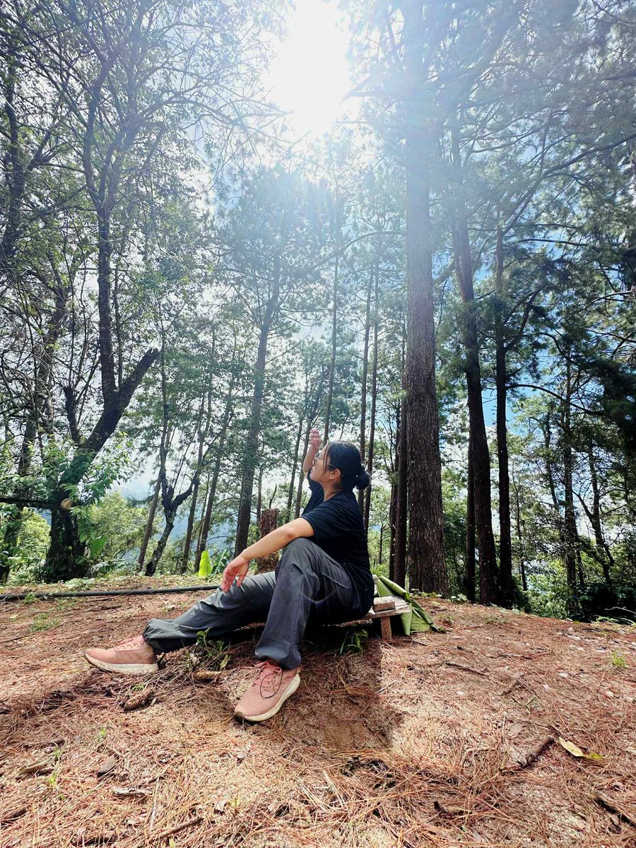 drivny's tweet photo. เติมธรรมชาติ 🍃🍃🍃
#เชียงใหม่  #เชียงราย  #พะเยา https://t.co/DPDGKOmkE1