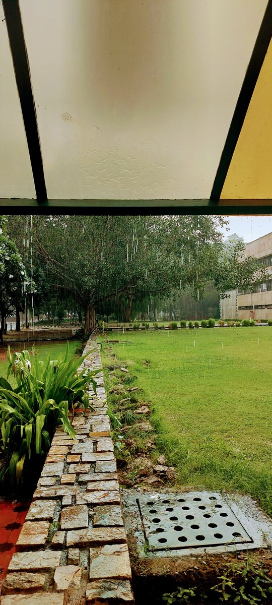 VsPsych's tweet photo. Generic excuse holds true for the instructor, 'stuck in rain without umbrella, late for tutorial'. https://t.co/iM4Qkmuhoo