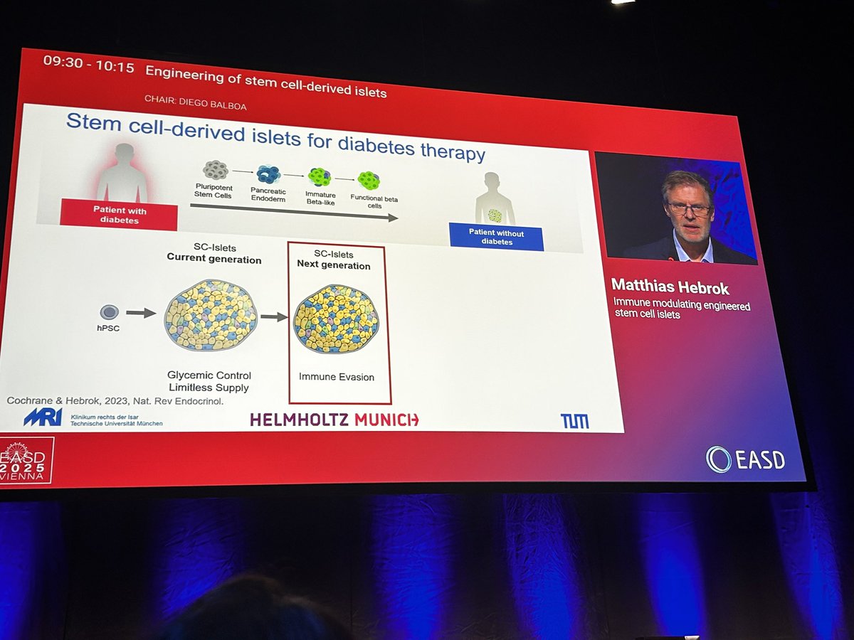 Dr. Mathias Hebrok sobre el diseño de células 🛡️que prevengan la destrucción ⚔️de células madre trasplantadas (células escudo ⚔️🛡️) #EASD2025