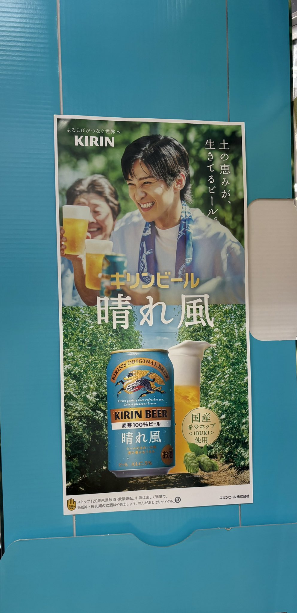目黒蓮 KIRIN 午後の紅茶 フルーツティー＋晴れ風 土 ポスター 晴れ風