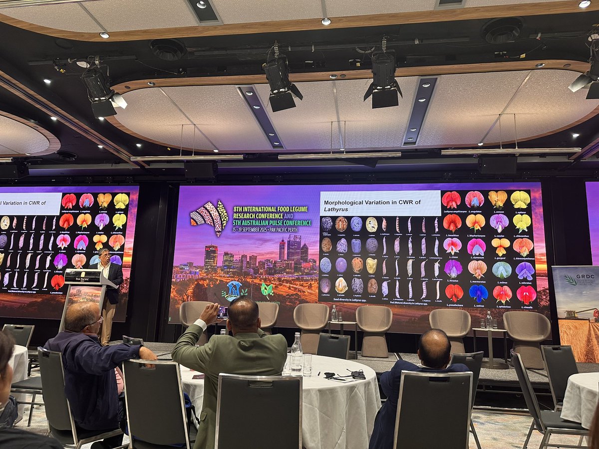 grasspeanet's tweet image. Lathyrus in India : Retrospect and prospect delivered by ADG Dr Gupta @icarindia India @ShivKAgrawal @icarda @grasspeanet