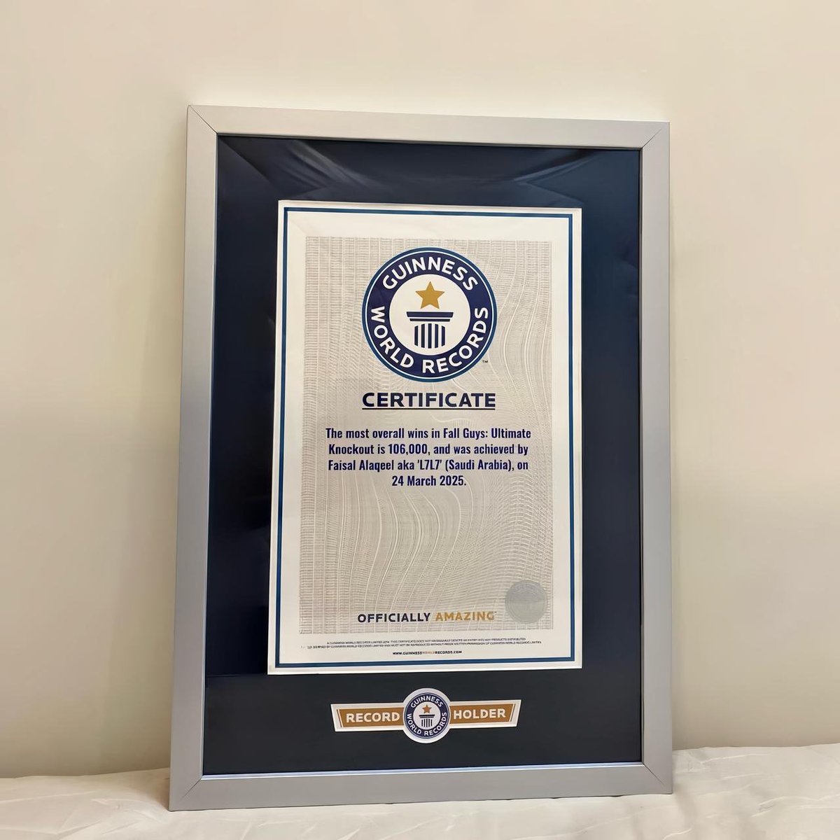 Fall Guys Top Leaderboards tweet media