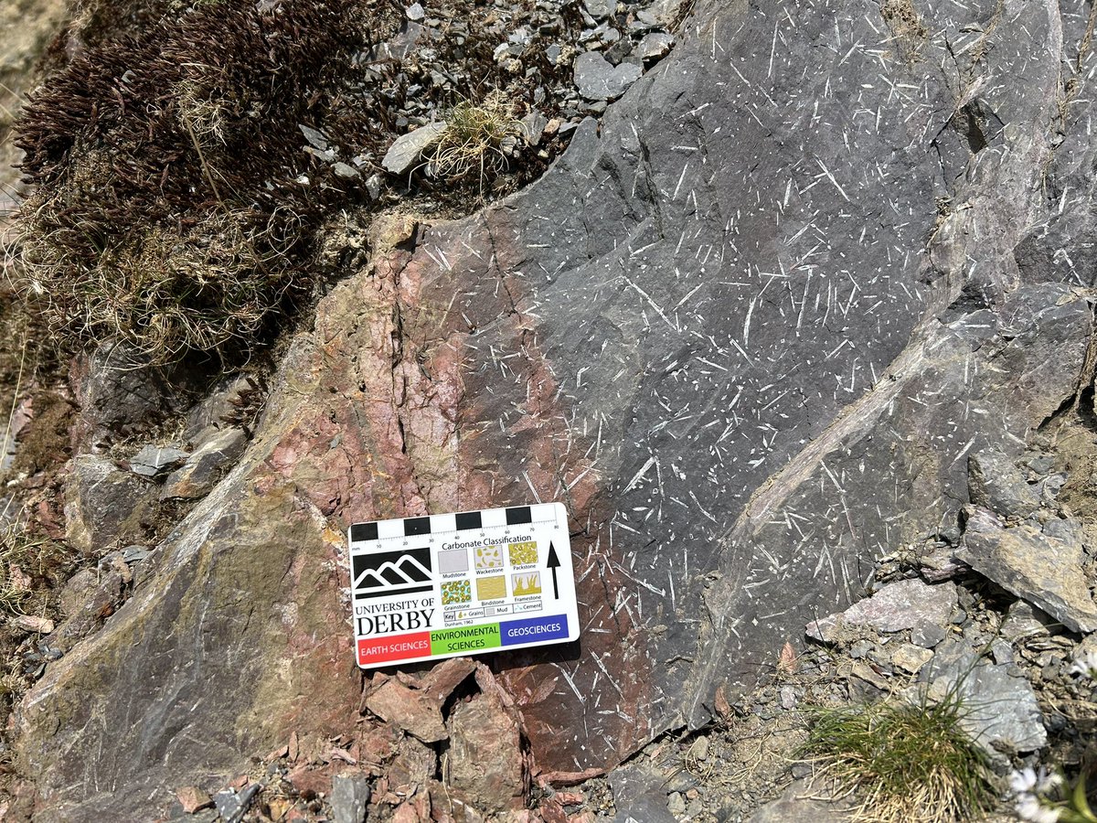 Annette Lokier tweet media