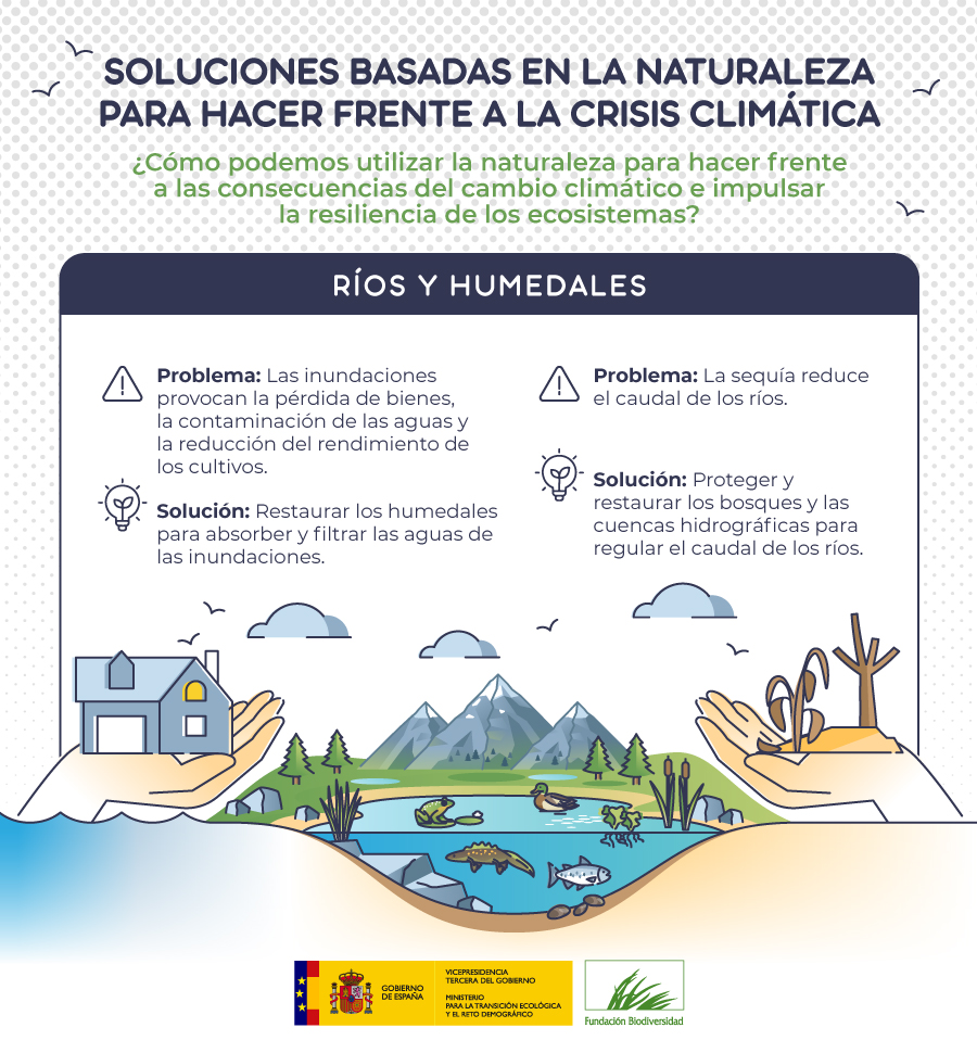 🏞️ Los humedales y ríos son auténticos aliados frente al cambio climático:

💦 Almacenan agua
🌡️ Regulan la temperatura
🦆 Protegen la biodiversidad

#SbN